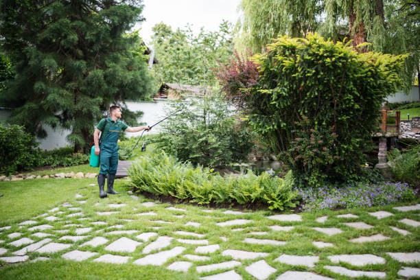 Best Affordable Pest Control Services  in East Dubuque, IL