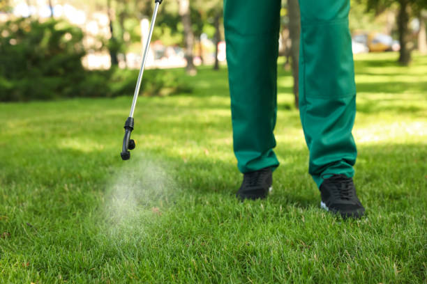 Pest Control for Restaurants in East Dubuque, IL