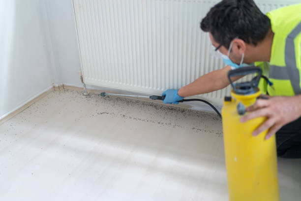 Best Affordable Pest Control Services  in East Dubuque, IL